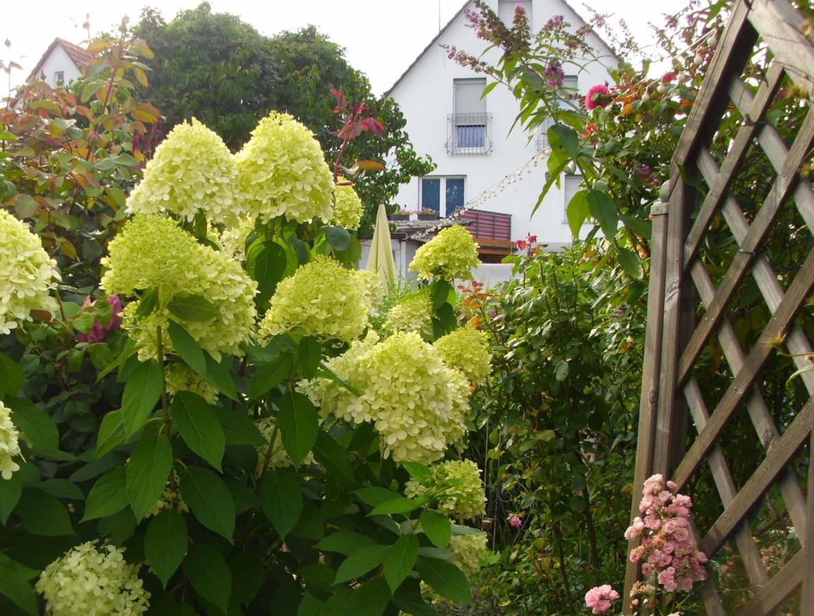 Ferienwohnung Gaby Marburg Bagian luar foto